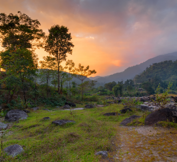 Beautiful Dooars Getaway