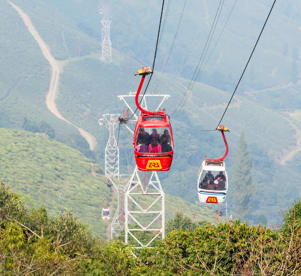 Darjeeling Tea Gardens & Himalayan Views