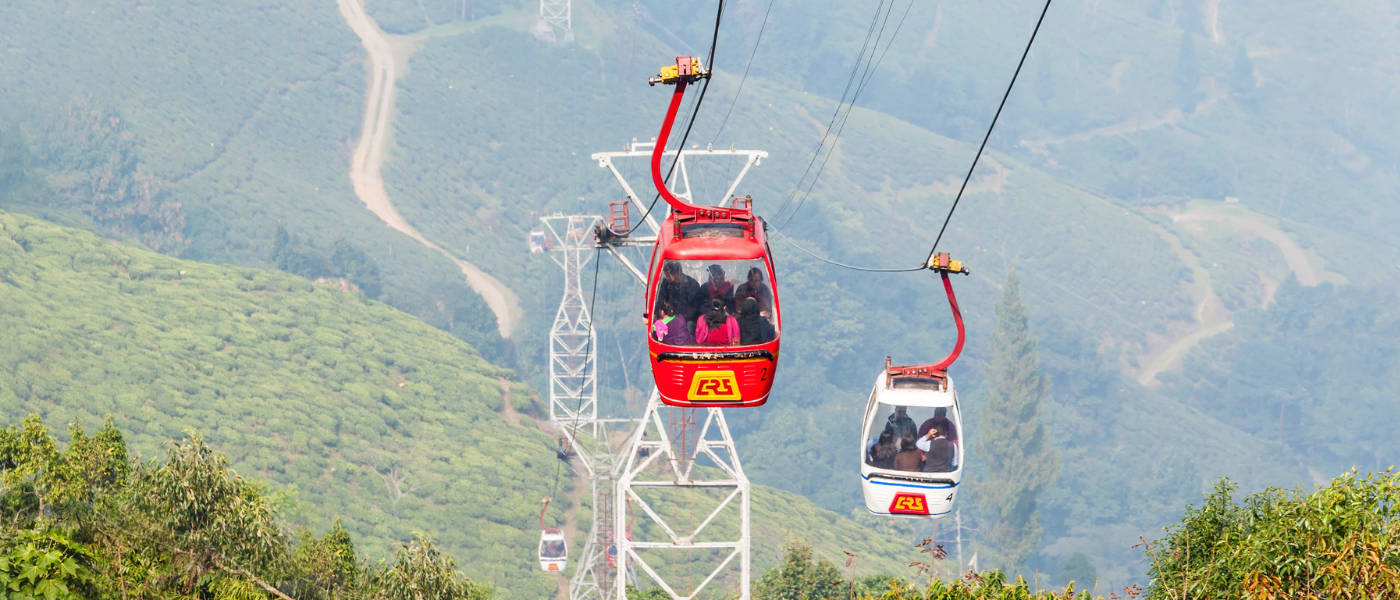 Darjeeling Tea Gardens & Himalayan Views