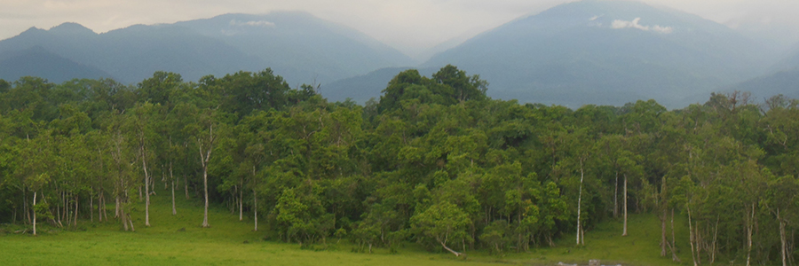 Chapramari Wildlife Sanctuary