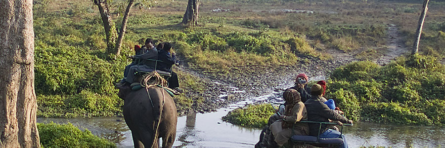 Jaldapara and Chilapata Forest