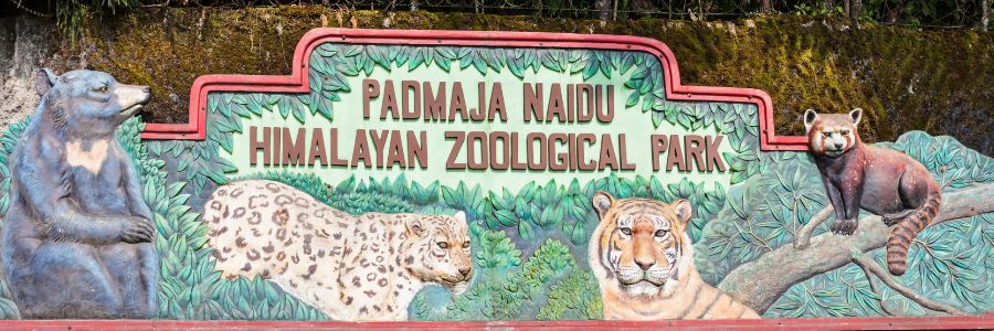 Padmaja Naidu Himalayan Zoological Park