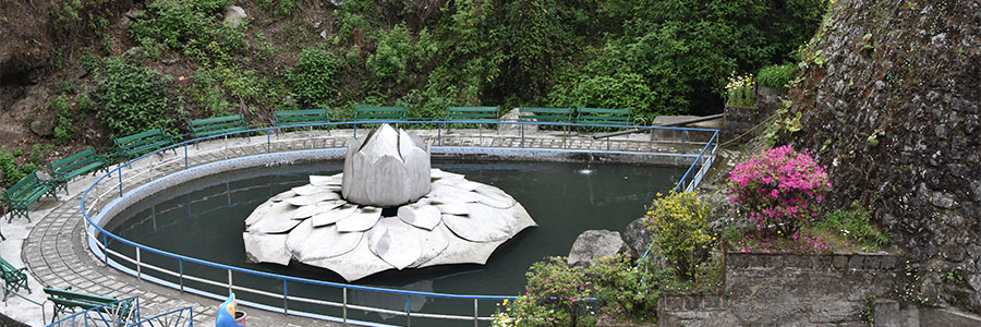 Rock Garden