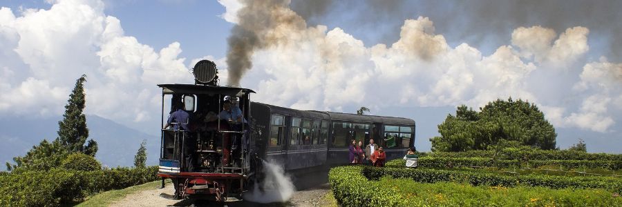 The Toy Train